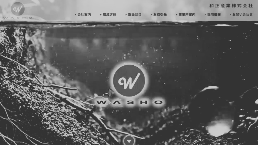 WASHO